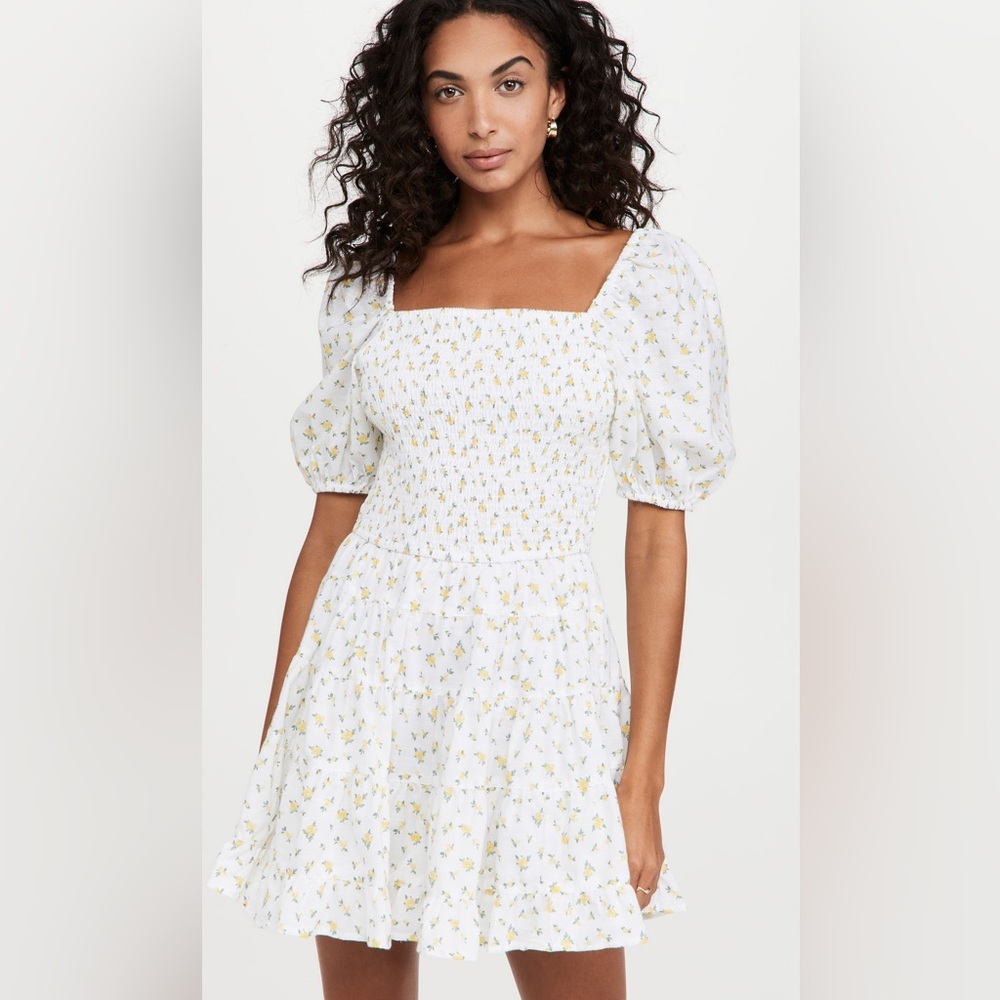 Rahi Molly Smocked Mini Dress Citron Print S (Shopbop)